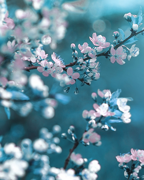 Photo 574359